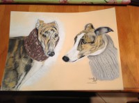 /album/galerie-photos/photo-984-jpg/